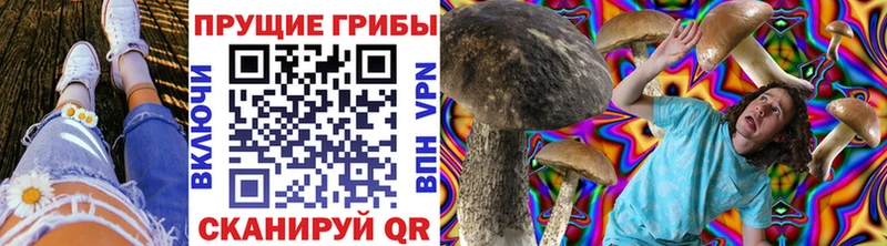 Купить закладки  Дмитриев  Галлюциногенные грибы Psilocybe 